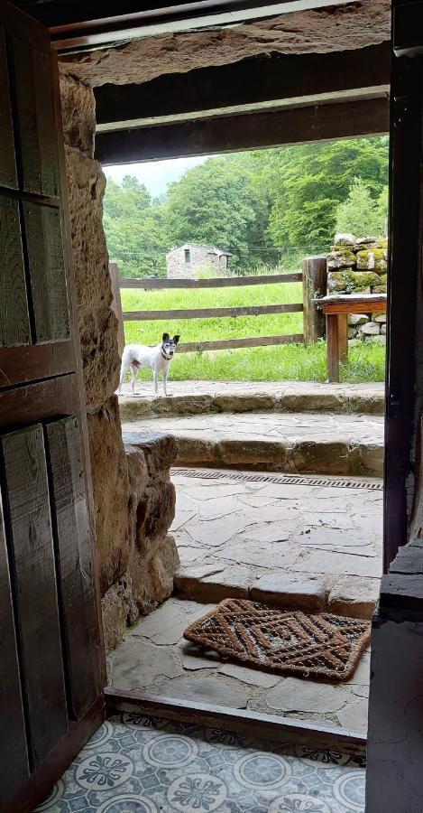 Pidream Cottage . Cabanas De Pisuena Selaya エクステリア 写真
